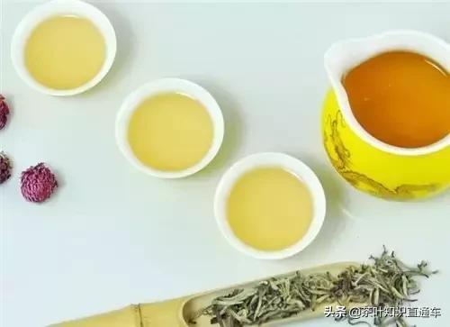 生普洱茶和熟普洱茶的区别,莓茶与普通茶的区别