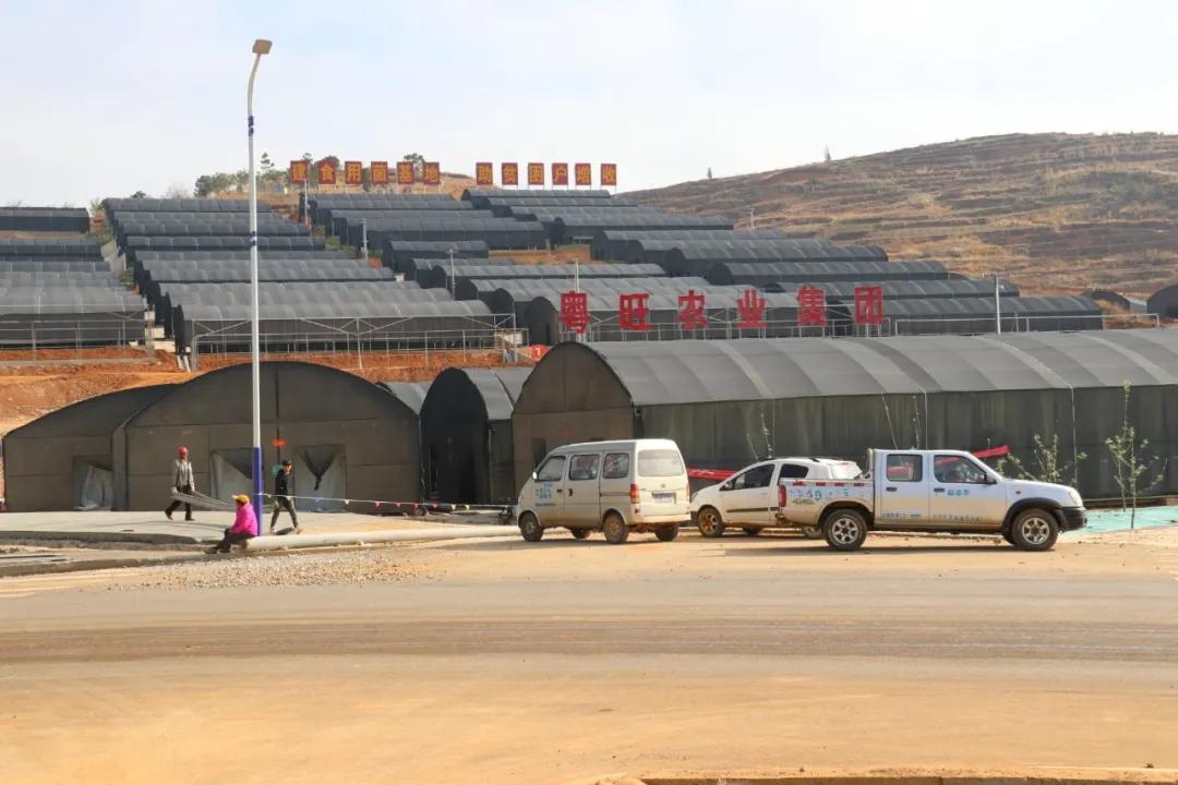 鲁甸卯家湾易地搬迁安置项目,鲁甸卯家湾搬迁摇号分房