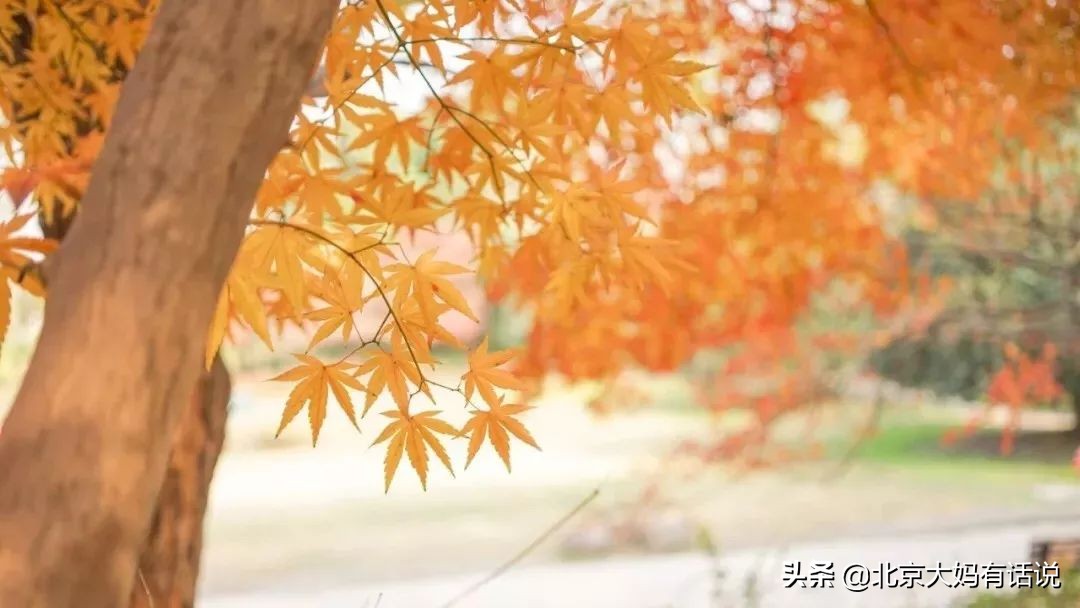 年度十佳微小说感言,十大经典微小说推荐