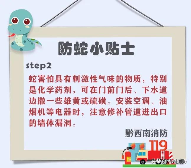 2米长蛇闯入房间,3米长蛇闯进浴室