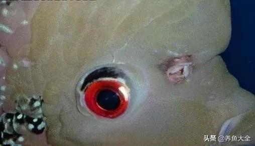 疾病科普小讲堂,疾病知识小讲堂