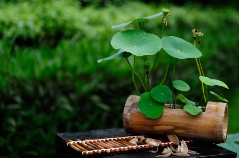 夏季生津止渴养生汤健脾祛湿,暑热喝什么解暑最好