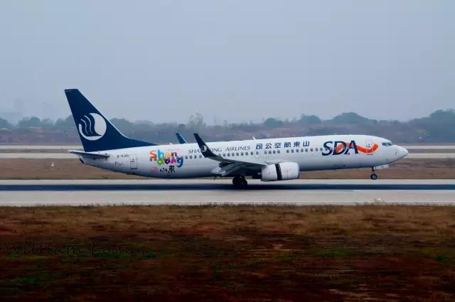 航空百科聊聊波音777,波音737飞机科普知识