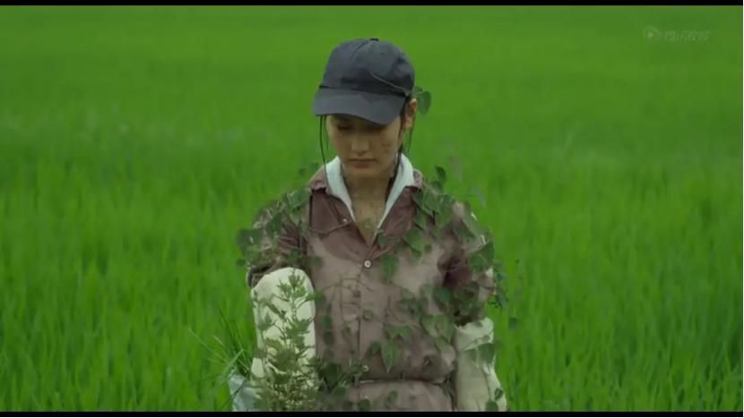 小森林清新电影,电影小森林里吃的浆果