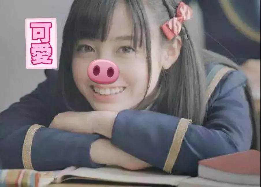 pigout是什么梗,pigout英语翻译