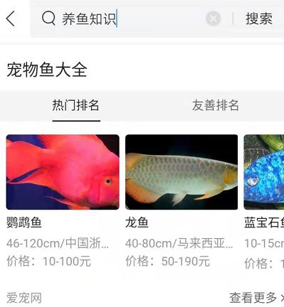 蛋白虫对鱼苗有危害吗,有什么观赏鱼能清理蛋白虫