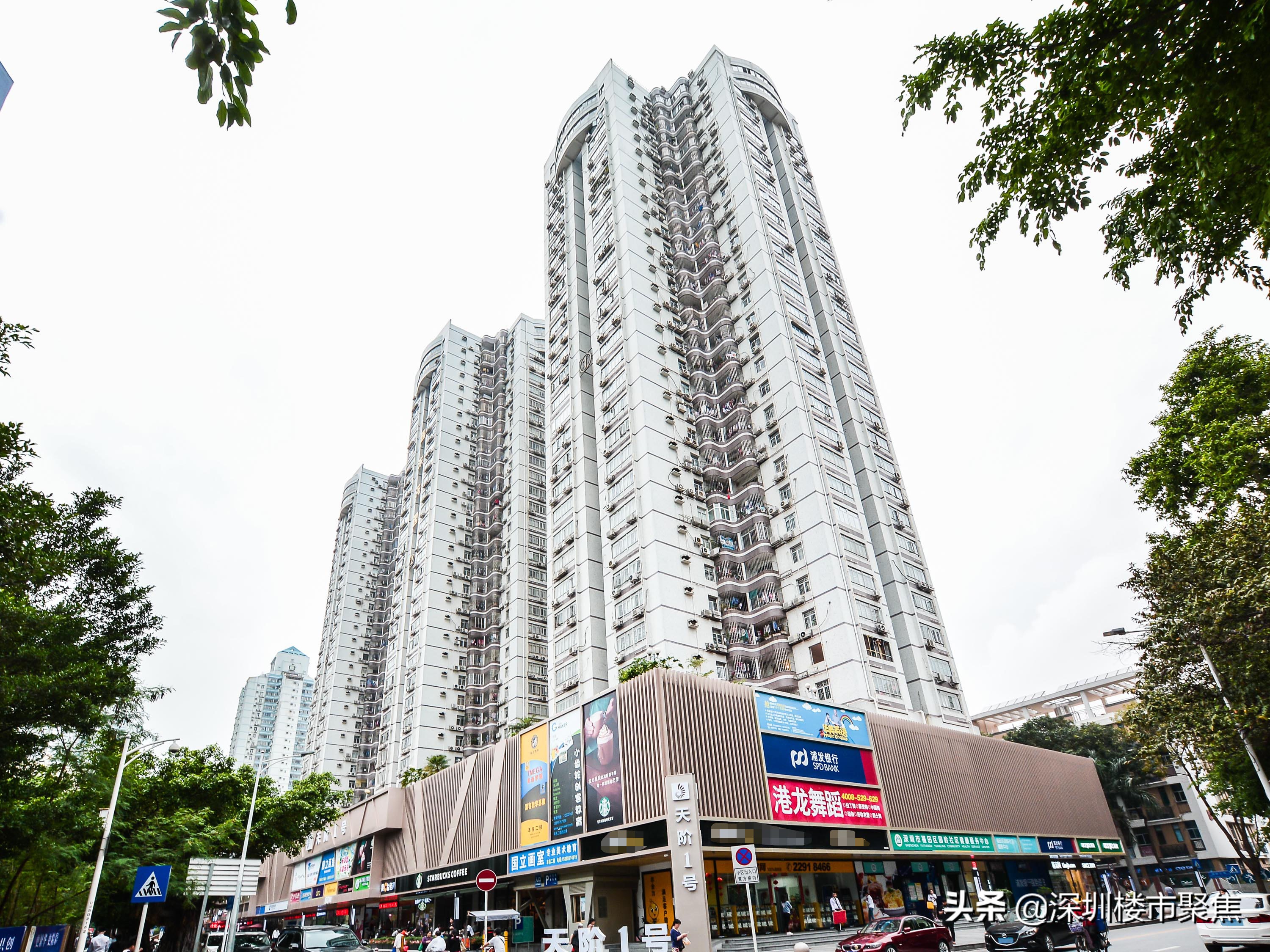 深圳红岭片区名校云集,深圳市十大名校红岭