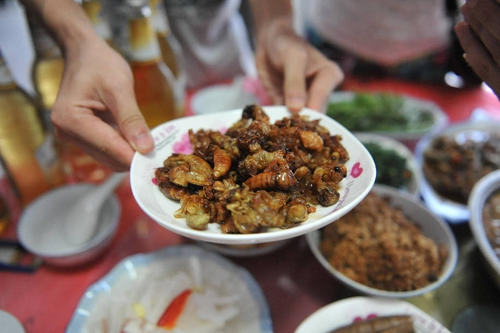 金蝉花中药怎么食用,药食同源话蝉花