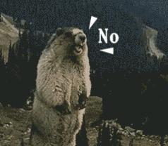 中本贯通2020分数线和普高分数线,中高职贯通招生条件