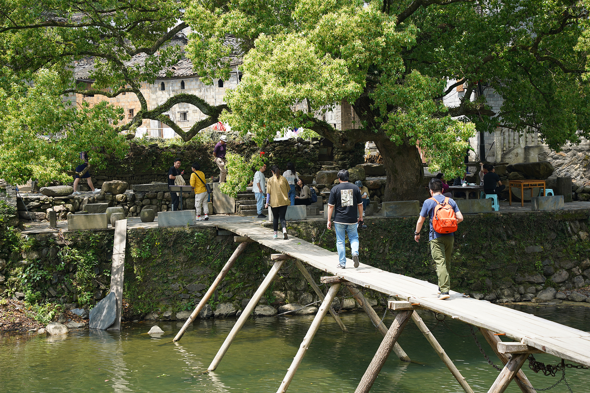 景德镇茶之源瓷之都,景德镇浮梁茶文化