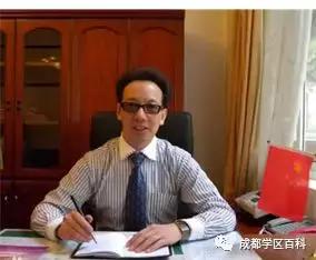 成都学区在线分析,成华十区