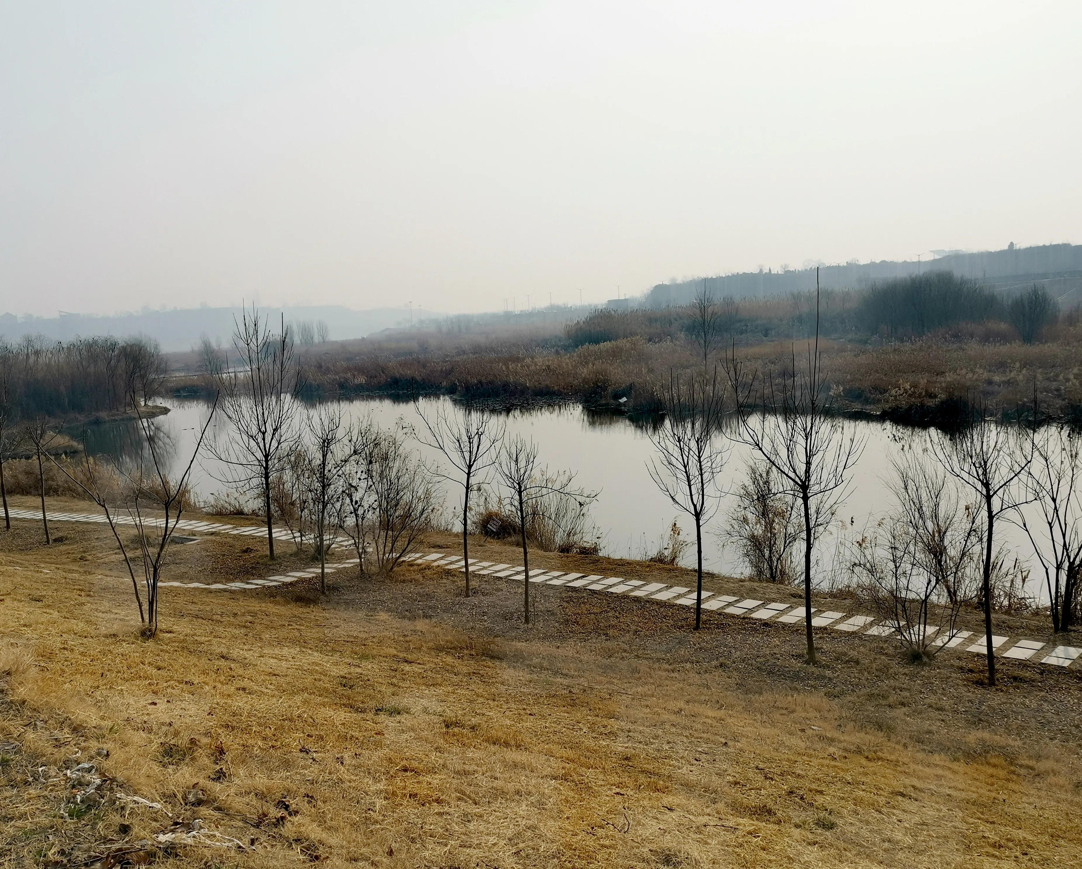 大年初一逛栎阳湖湿地公园,柳色遥看近吐绿,春归石川河!