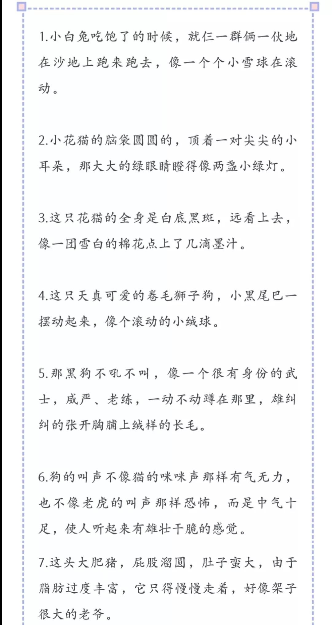我的动物朋友四年级优秀作文500字,我的动物朋友四年级下册300字作文