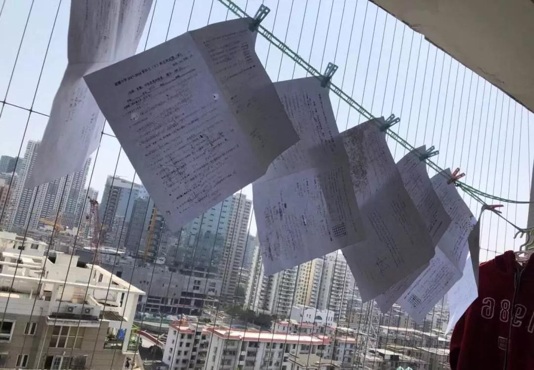 铲屎的都是因为啥和狗吵架，原谅我笑出了声