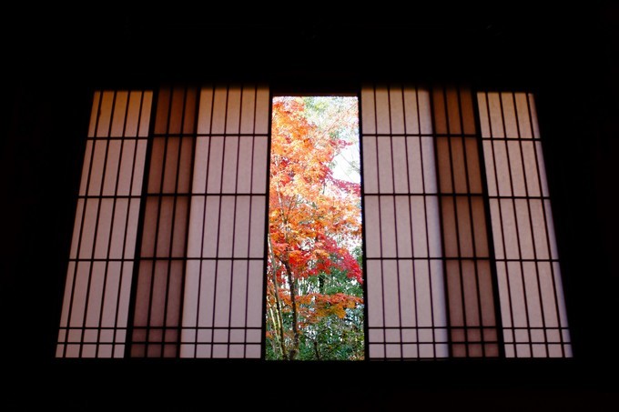 京都赏枫2022,京都赏枫必去景点有哪些好玩的