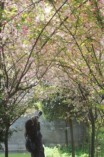 乐山市文旅专题会议,改革开放谋发展文旅融合谱新篇