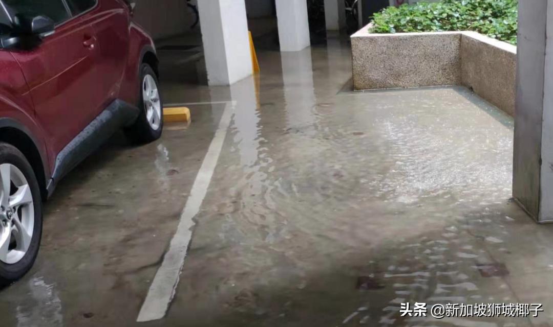 新加坡48小时超强暴雨,新加坡多地遭暴雨侵袭
