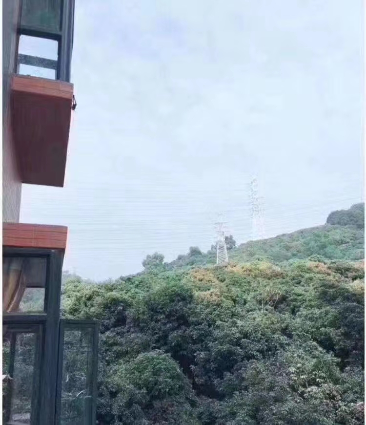 预言2025深圳南山西丽房价,南山西丽目前房价