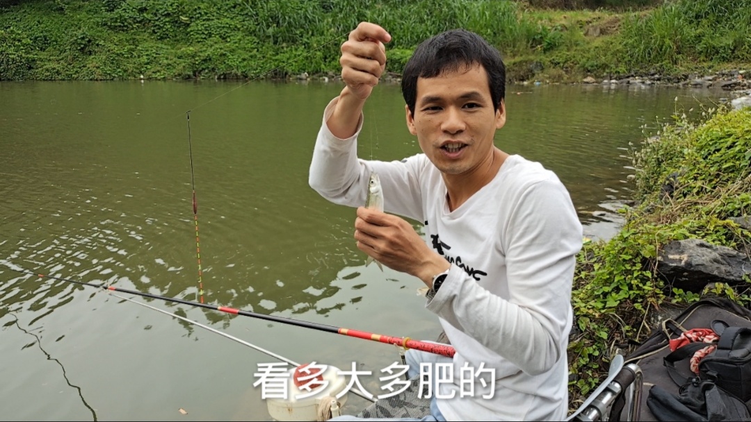 钓鱼的烦恼和处理方法,钓鱼上瘾了怎么办