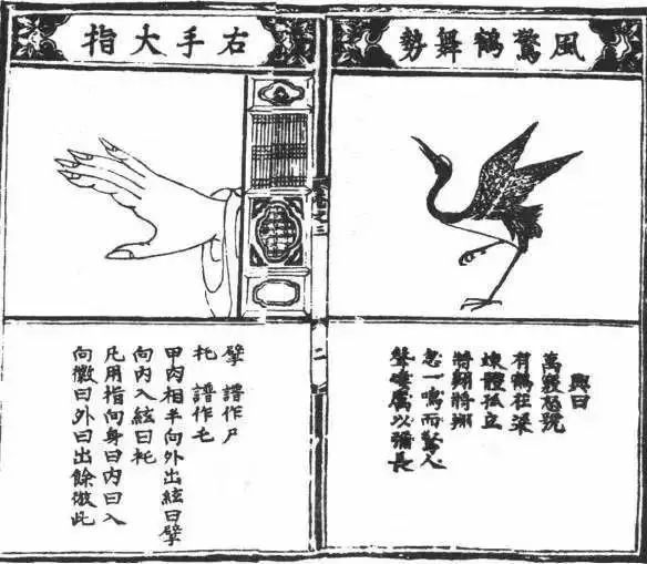 龚一古琴入门指法第1讲,古琴入门指法表