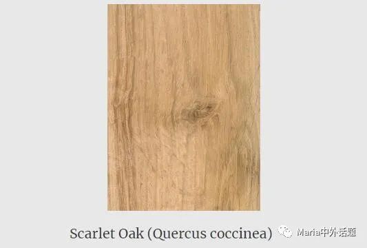 缇庡浗姗℃湪浜у尯,缇庡浗鍖楅儴姗℃湪