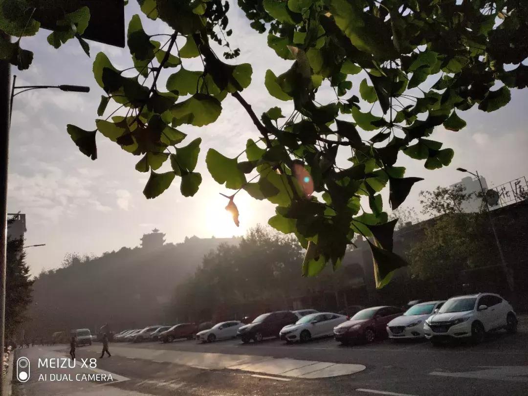 魅族X8手机测评,魅族x8最新测评