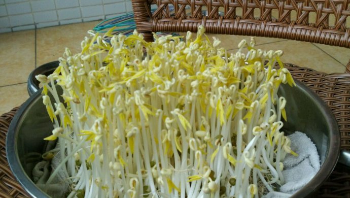 想吃豆芽何必出去买在家就能搞定,想吃豆芽怎么弄啊