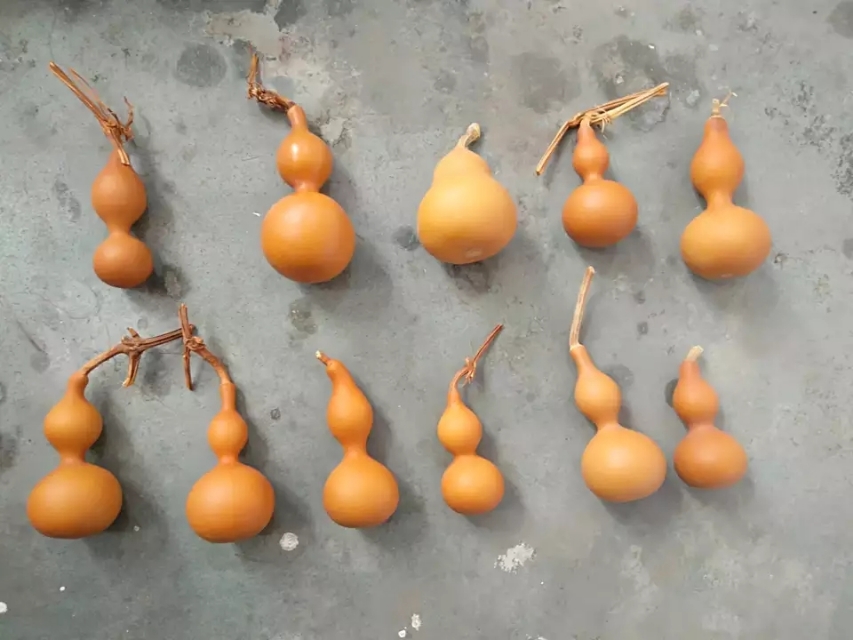 文玩葫芦怎么去黑,文玩葫芦怎样处理更结实