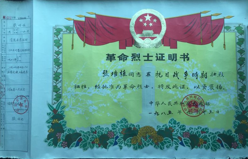 保定西大街人民照相馆老照片,保定西大街历史文化照相馆