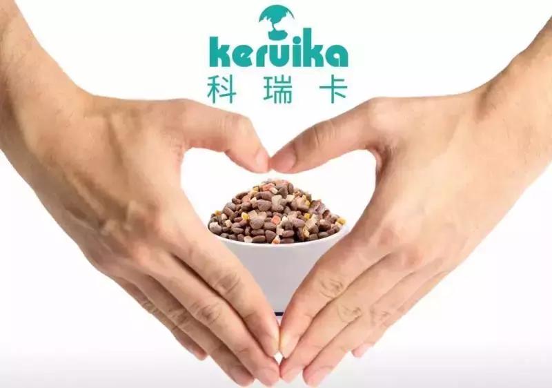 怎样训练泰迪犬不乱叫,怎样训练泰迪犬随行