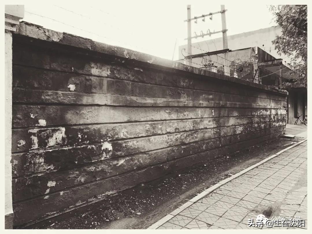 大沈阳岁月钩沉-春日公园水源地