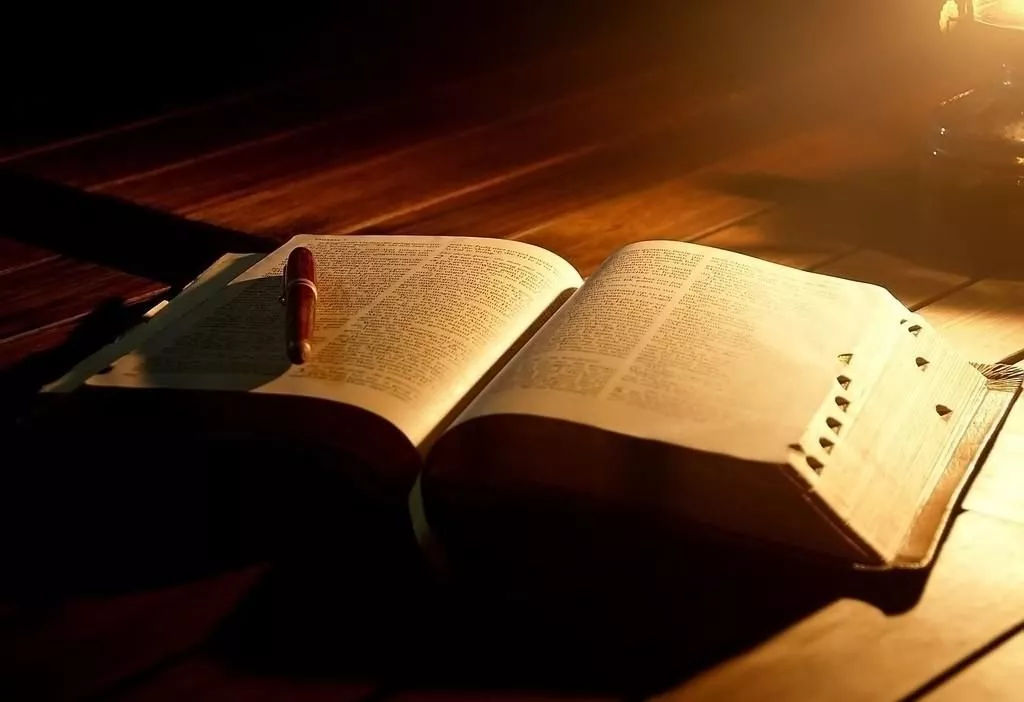 “自大是失败的前兆”：了解自负的4个源头，并非不能克服