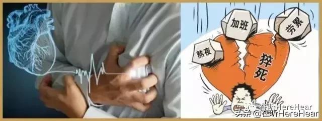 24h心脏监测仪,三维心脏电生理监测系统