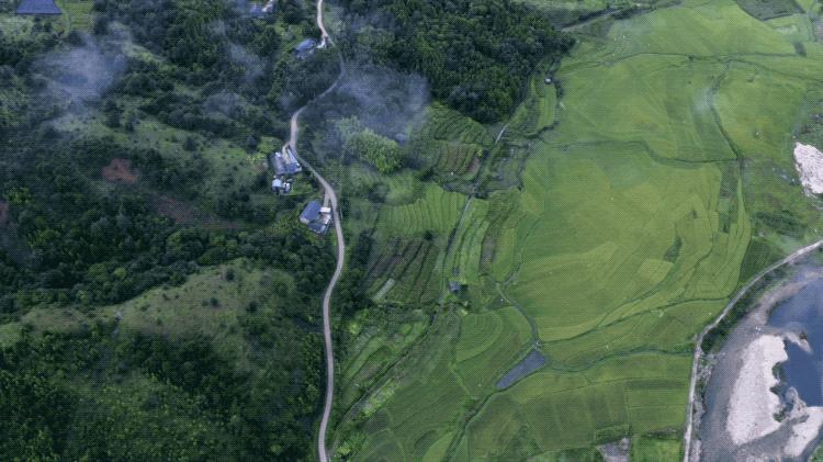 一群90后学霸，嚷嚷着要给它们找对象：自己单身不要紧