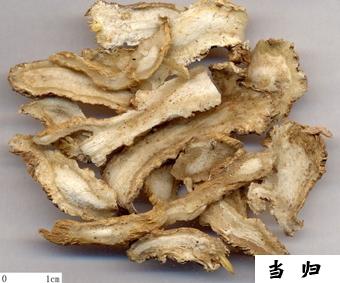 大厨详解常用香料配方,厨房香料大全图解及功效