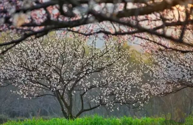 绳命是如此的精彩！网红僧人延参法师为宜兴春游踏青打call！