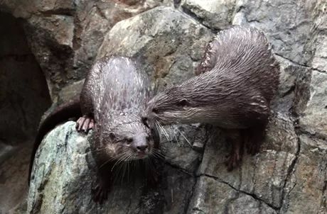 去香港海洋公园旅游全攻略,香港海洋公园游玩攻略