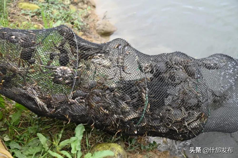 不负好春光文章,不负好春光的上一句