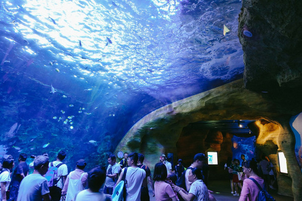 珠海长隆旅游攻略一天自由行,珠海长隆旅游攻略三天自由行