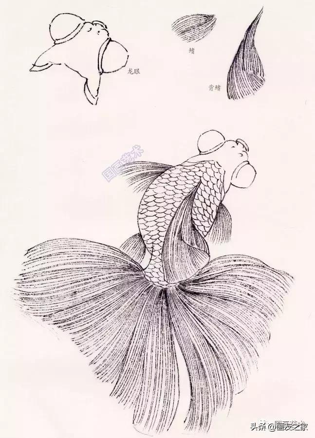 金鱼工笔国画精品欣赏,工笔金鱼图片大全大图