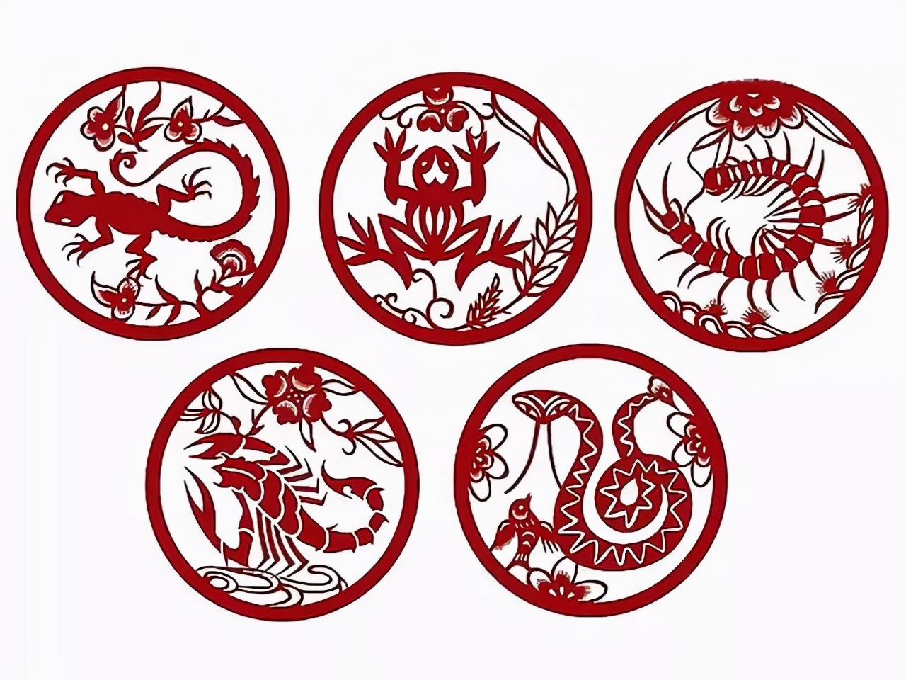 对人无毒的壁虎为何是五毒之一,人畜无害的壁虎为什么无毒