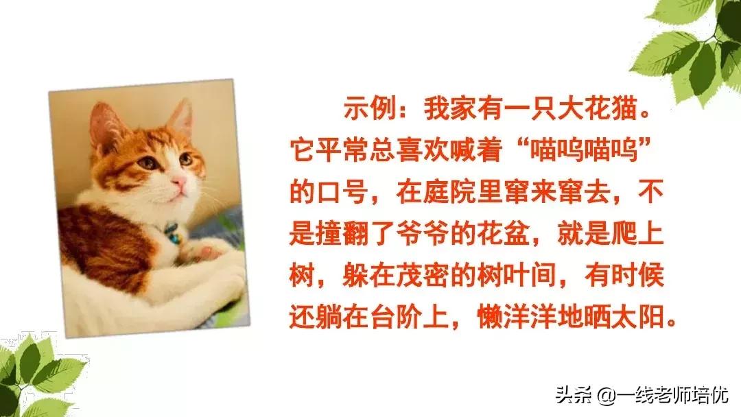 带刺的朋友三年级上册,三年级语文带刺的朋友课文知识点