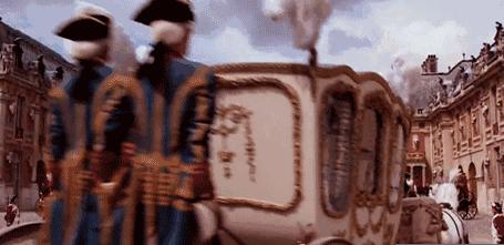 白马踏雪山金正恩座骑大有来头｜除了帅气人类为何钟情白马？