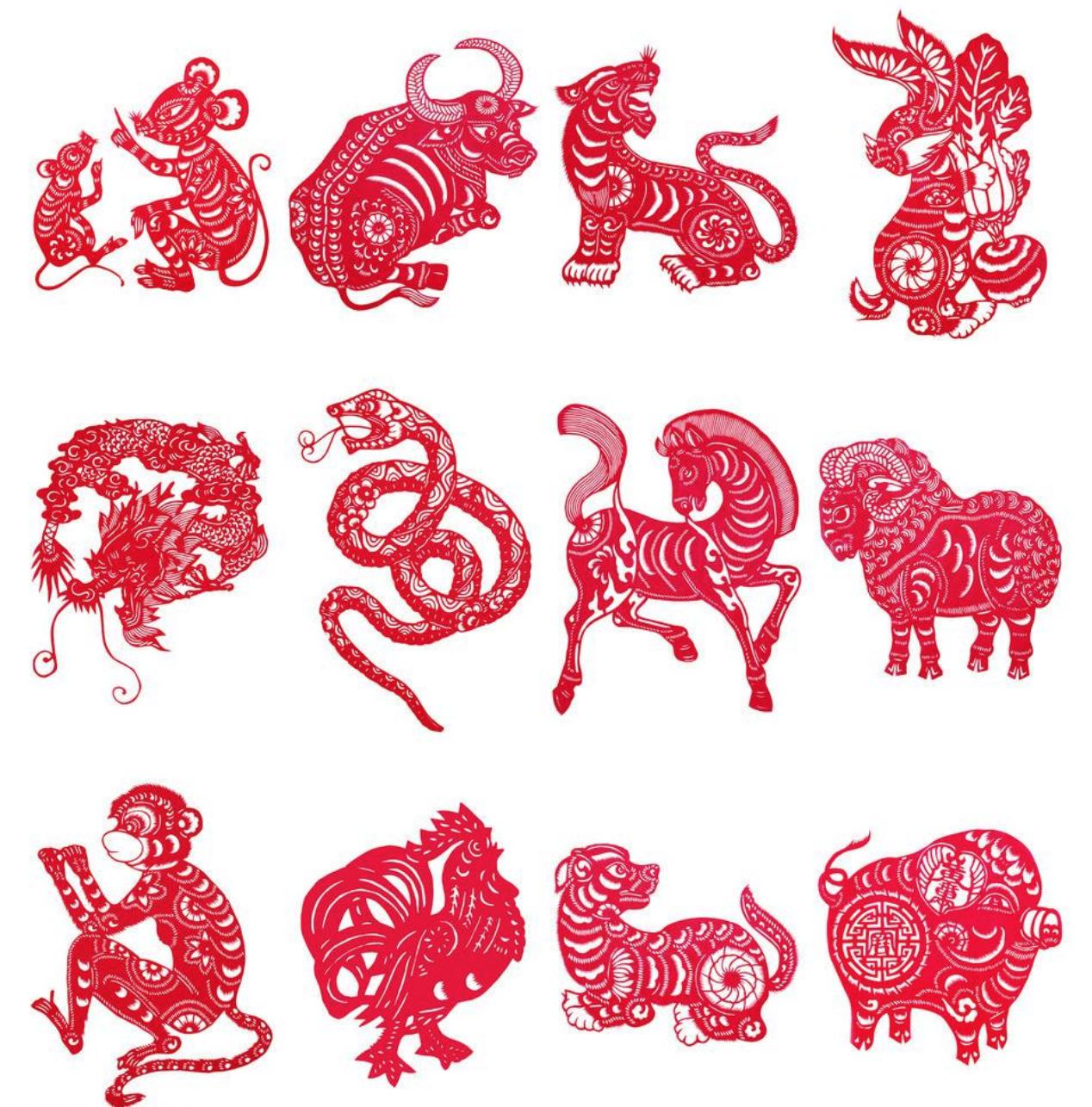 十二生肖是什么电影,十二生肖是什么