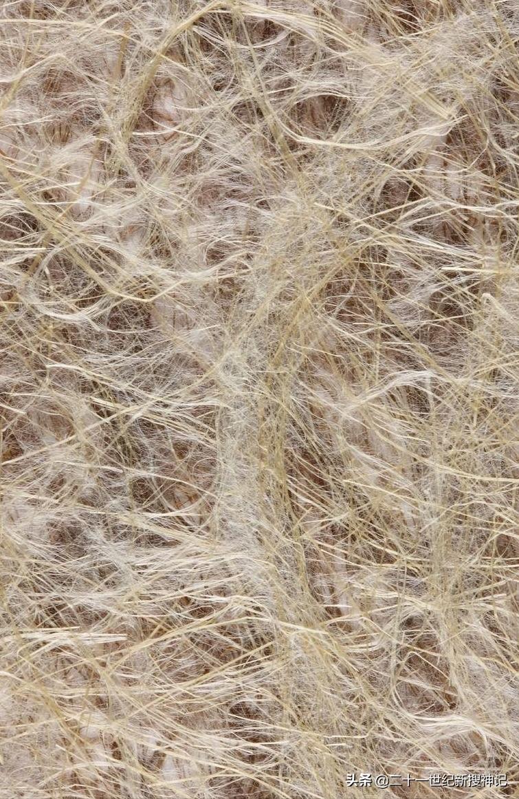 性命之谜（廿三）指尖上的世界，了解身边物质千变万化的微结构