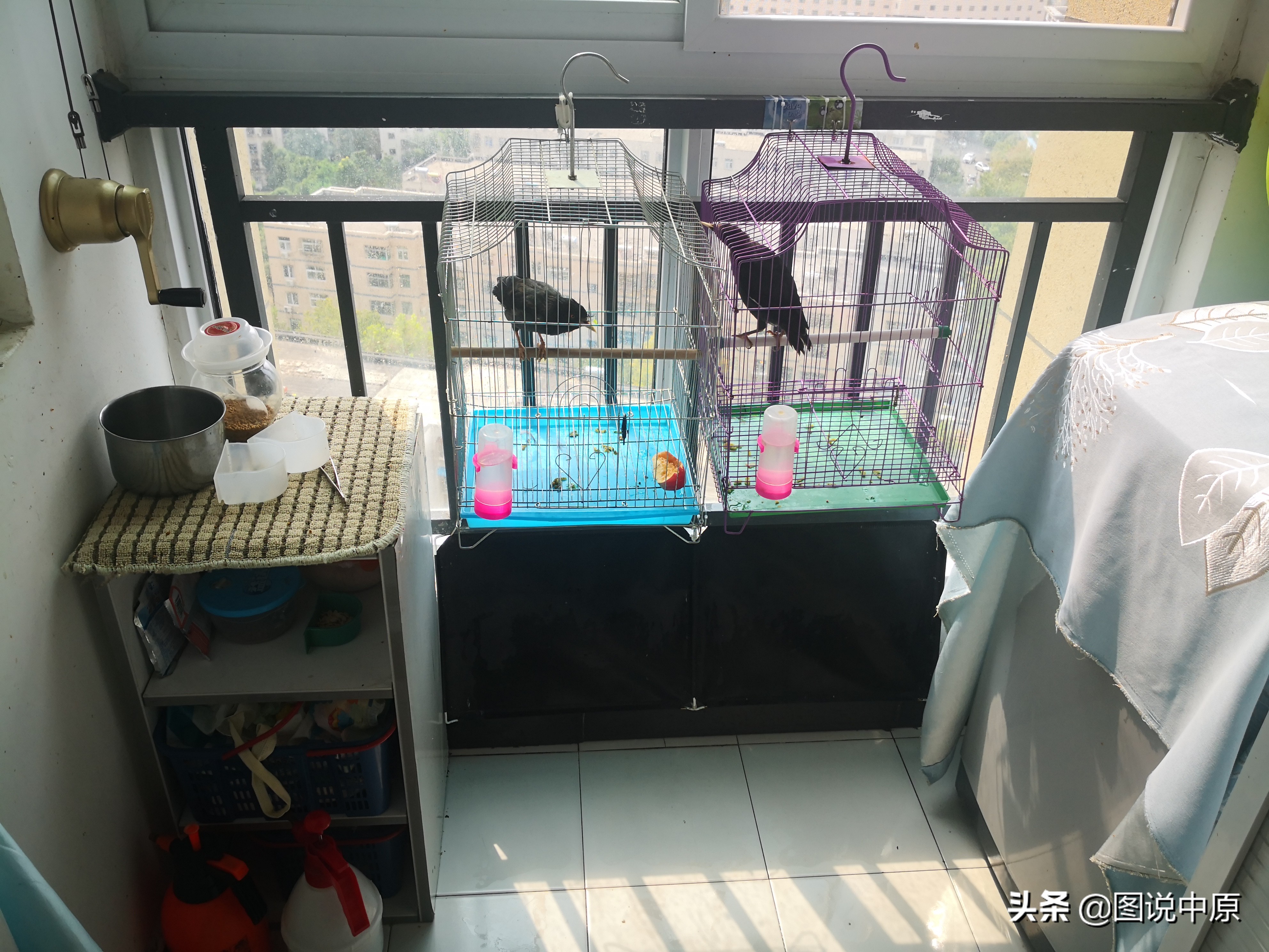 申请公租房丢人吗,没房子住公租房丢人吗