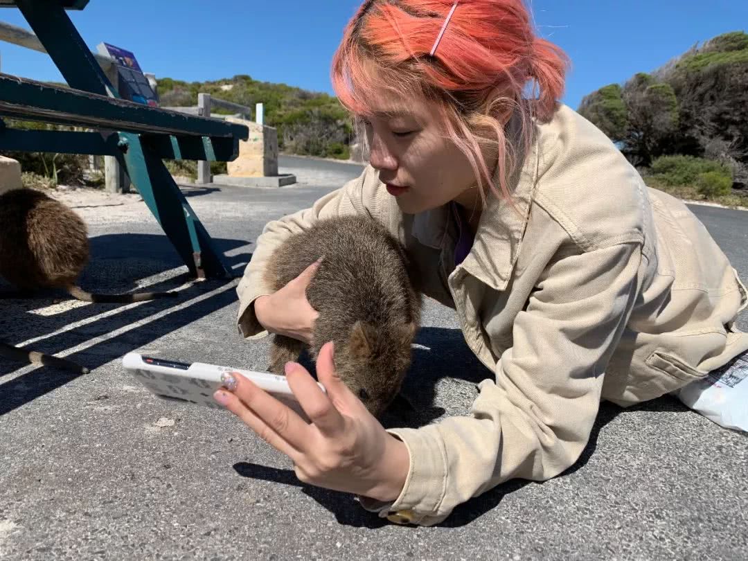 西澳大利亚珀斯有什么好玩的,西澳珀斯必去景点
