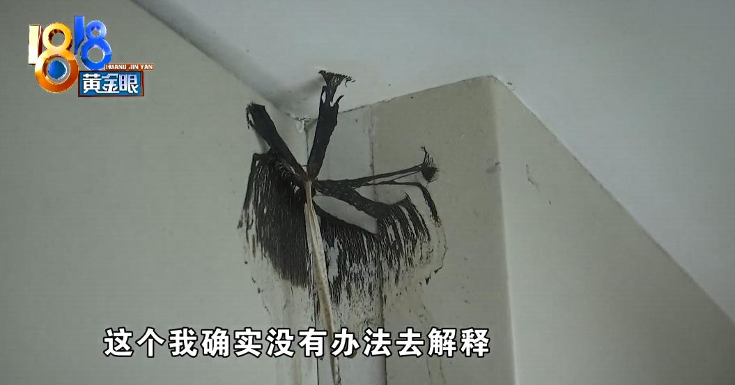 千万豪宅突然长出蘑菇,千万豪宅被收