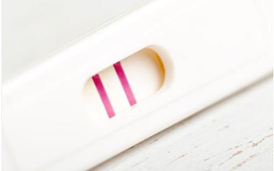 孕酮低会流产,孕酮低可以吃黄体酮和保胎药吗