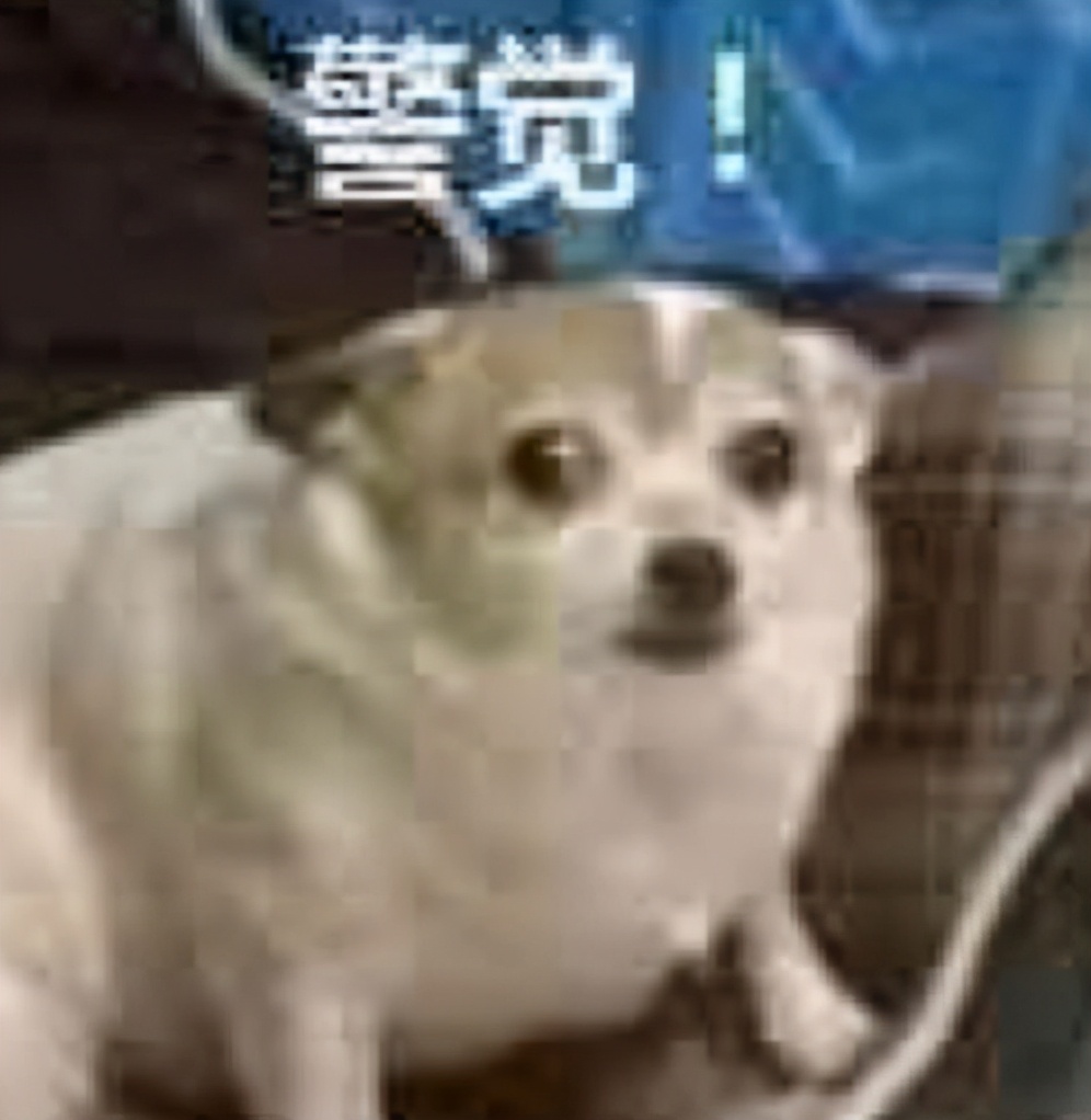 扒开衣服，这女人杀疯了